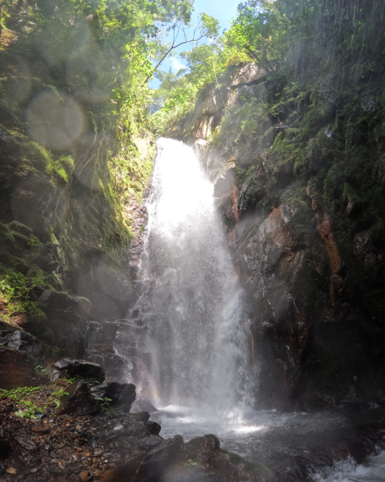 Tour Catarata del Duende - Ruta del Café